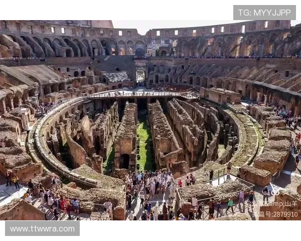 尼斯足球俱乐部的辉煌历史与未来发展展望分析 尼斯足球俱乐部的辉煌历史与未来发展展望分析