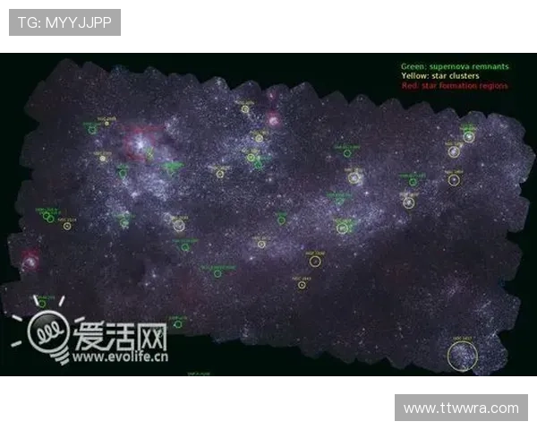 欧洲豪门激战再起新赛季转会动态震撼足坛焦点揭晓全景解析最新走势